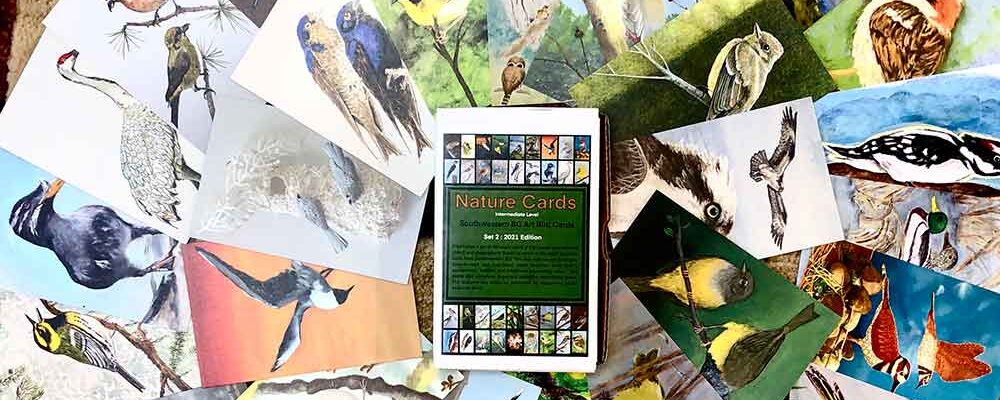 Bird Cards, Series 3